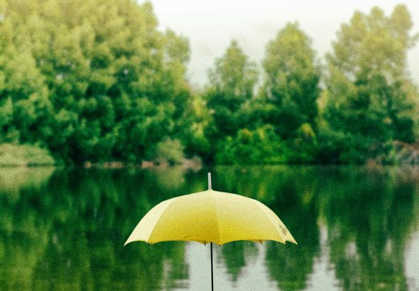 saffu-bmtg7lrCry4-unsplash